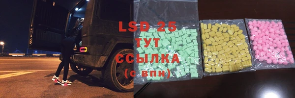 PSILOCYBIN Алзамай