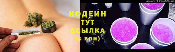 PSILOCYBIN Алзамай