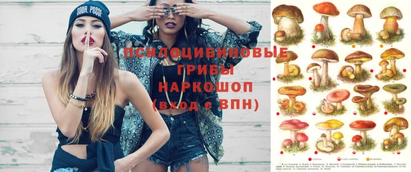 PSILOCYBIN Алзамай