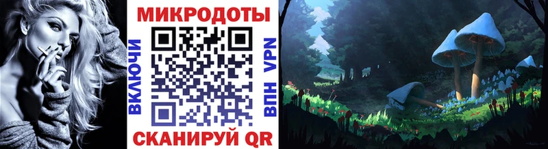 kraken tor  Карабулак  Галлюциногенные грибы Cubensis 