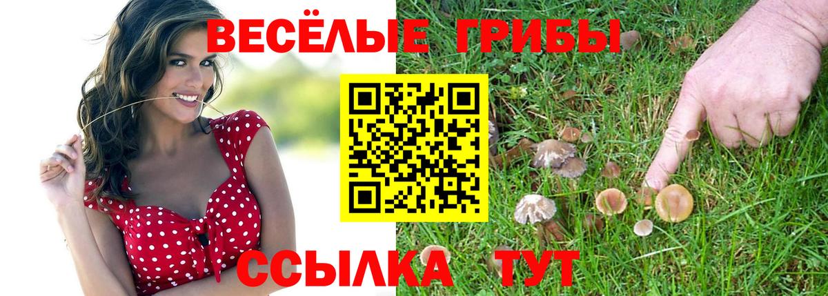 Карабулак  Псилоцибиновые грибы Cubensis  Вход с VPN  Галлюциногенные грибы мухоморы 